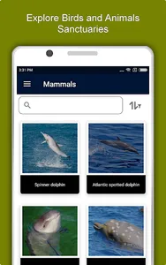 Cape Verde Travel & Explore, O screenshot 12