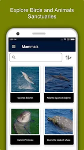Cape Verde Travel & Explore, O screenshot 4