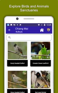 Chiang Mai Travel & Explore, O screenshot 12