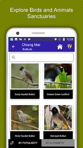 Chiang Mai Travel & Explore, O screenshot 4