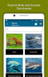 Cyprus Travel & Explore, Offli screenshot 12