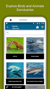 Cyprus Travel & Explore, Offli screenshot 4