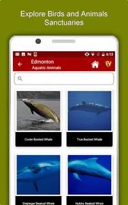 Edmonton Travel & Explore, Off screenshot 12