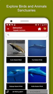 Edmonton Travel & Explore, Off screenshot 4