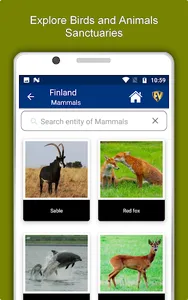 Finland Travel & Explore, Offl screenshot 20