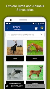 Finland Travel & Explore, Offl screenshot 4