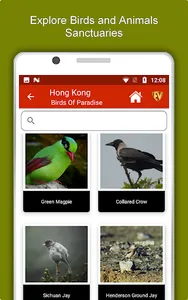 Hong Kong Travel & Explore, Of screenshot 12