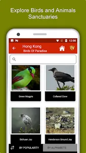 Hong Kong Travel & Explore, Of screenshot 4