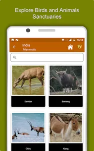 India Travel & Explore, Offlin screenshot 12