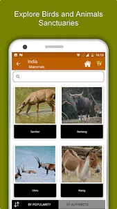 India Travel & Explore, Offlin screenshot 4