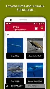 Kyoto Travel & Explore, Offlin screenshot 4