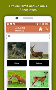 Lithuania Travel & Explore, Of screenshot 20