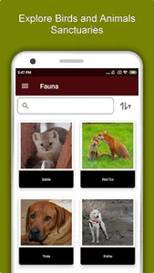Minato Travel & Explore, Offli screenshot 4