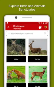 Montenegro Travel & Explore, O screenshot 12