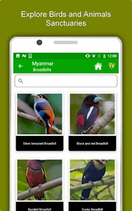 Myanmar Travel & Explore, Offl screenshot 12