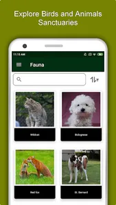 Naples Travel & Explore, Offli screenshot 4
