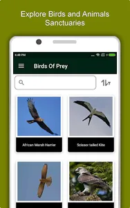 Nigeria Travel & Explore, Offl screenshot 12