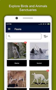 Novosibirsk Travel & Explore,  screenshot 12