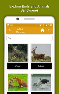 Padua Travel & Explore, Offlin screenshot 12