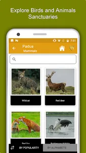 Padua Travel & Explore, Offlin screenshot 4