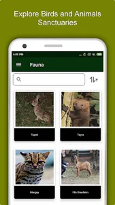 Recife Travel & Explore, Offli screenshot 4