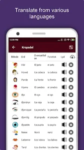 Seville Travel & Explore, Offl screenshot 6