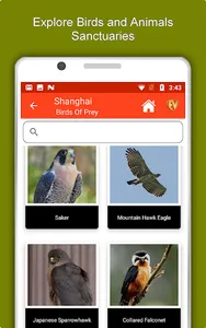 Shanghai Travel & Explore, Off screenshot 20