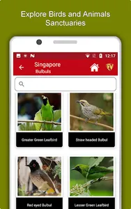 Singapore Travel & Explore, Of screenshot 20