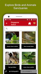 Singapore Travel & Explore, Of screenshot 4