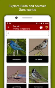 Toronto Travel & Explore, Offl screenshot 20