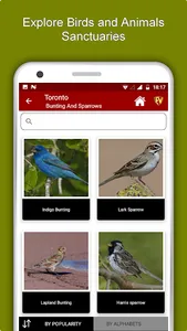 Toronto Travel & Explore, Offl screenshot 4