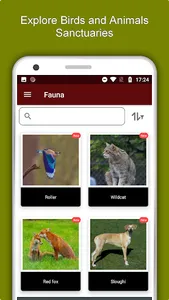 Tunis Travel & Explore, Offlin screenshot 4