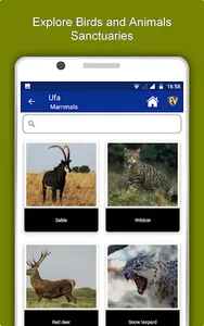 Ufa Travel & Explore, Offline  screenshot 12