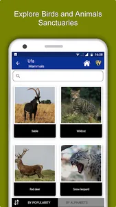 Ufa Travel & Explore, Offline  screenshot 4
