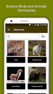 Ukraine Travel & Explore, Offl screenshot 4