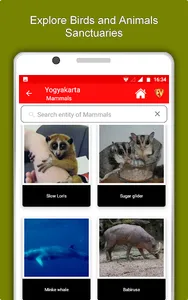 Yogyakarta Travel & Explore, O screenshot 12