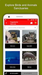 Yogyakarta Travel & Explore, O screenshot 4