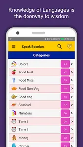 Speak Bosnian : Learn Bosnian  screenshot 0