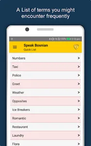 Speak Bosnian : Learn Bosnian  screenshot 23