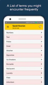 Speak Bosnian : Learn Bosnian  screenshot 7