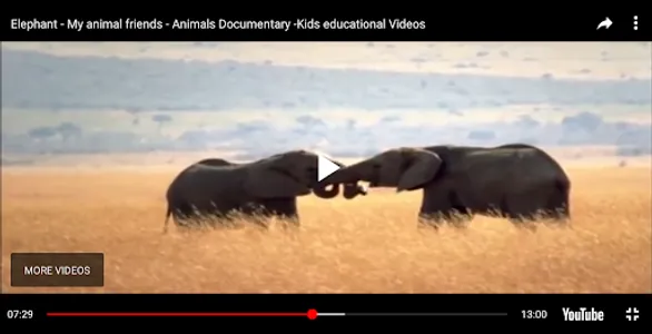 Animal Documentary online screenshot 10