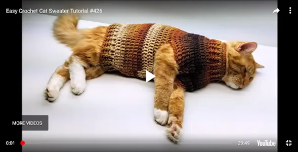 Learn how to Crochet screenshot 1
