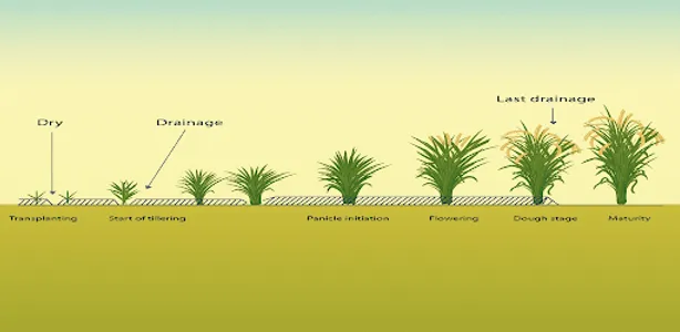 iFarming screenshot 1