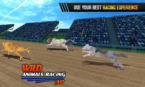 Wild Animals Racing 3D screenshot 14