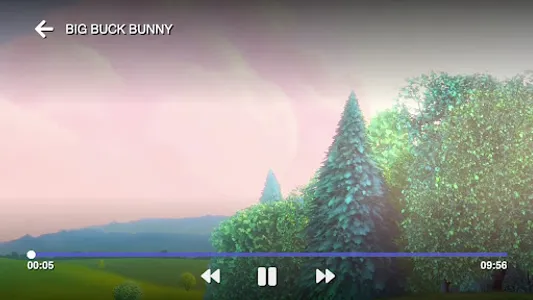 NPlay screenshot 5