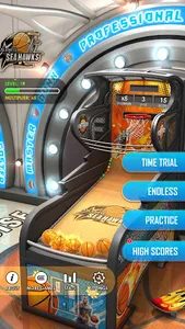 Basketball Flick 3D screenshot 1