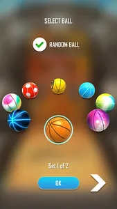 Basketball Flick 3D screenshot 16