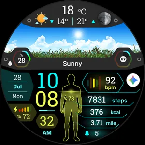 BioSky-X - Watch Face screenshot 25
