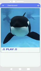 Killer Whales Sounds screenshot 0