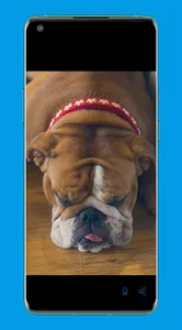 sleeping music : relax & sleep screenshot 2